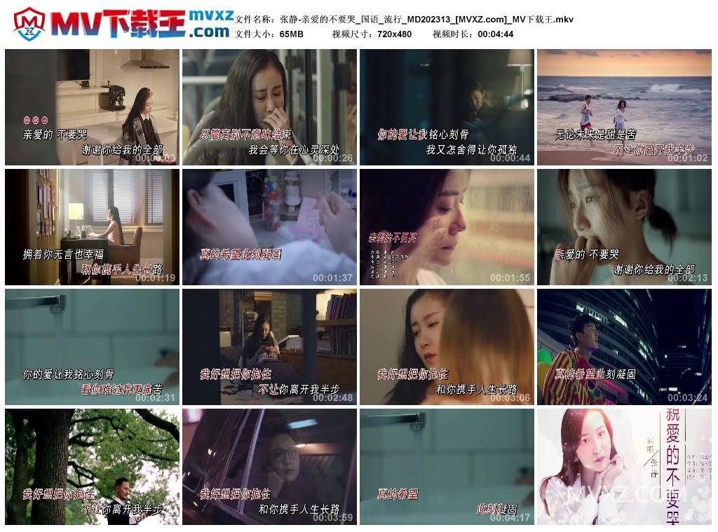 张静-亲爱的不要哭_国语_流行_MD202313